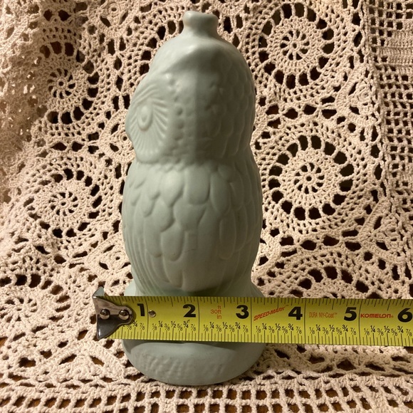 “Be Wise” Owl Bank - Pastel Chalk Paint Eggshell Blue - Picture 10 of 11